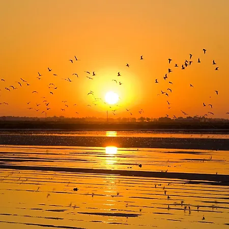 Club Del Sole Adriatico Easy Village