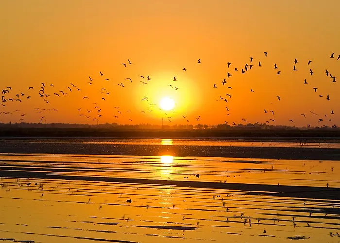 Club Del Sole Adriatico Easy Village